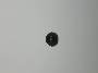 Image of NUT, Used for: NUT AND WASHER. Hex, Hex Nut-Coned Washer. M6 x 1.00, M6X1.00. Mounting.  [Passive Entry / Keyless. image